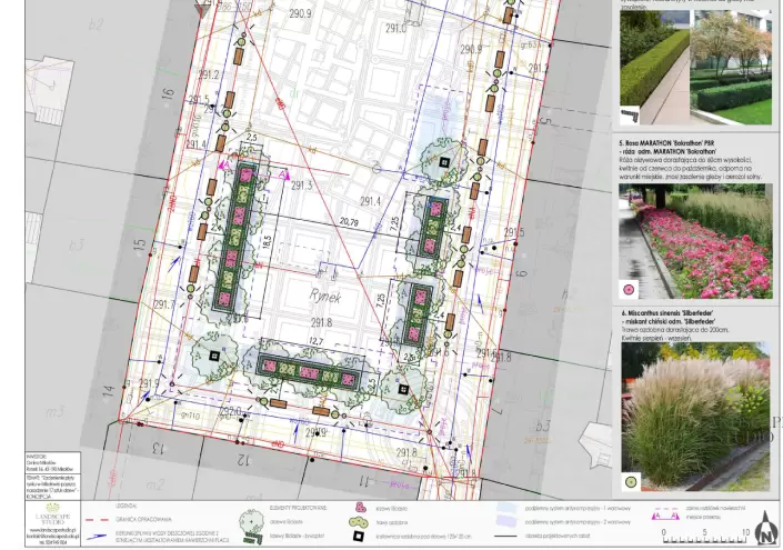 705x495 wejsciowe (5)