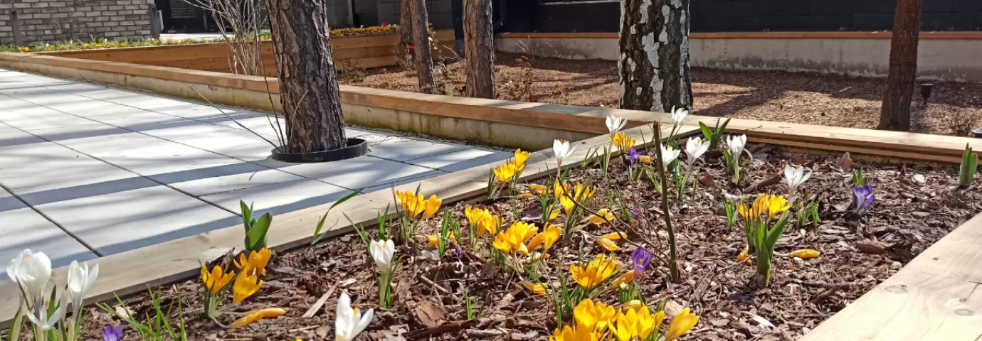 gallery-4-648x480 (1)