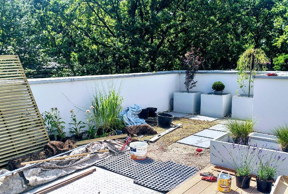 img-text-wrapper-1-1000x675